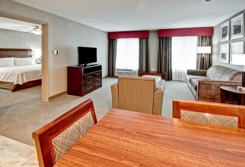 디럭스 스위트 킹 침대, Homewood Suites By Hilton Bridgewater/branchburg