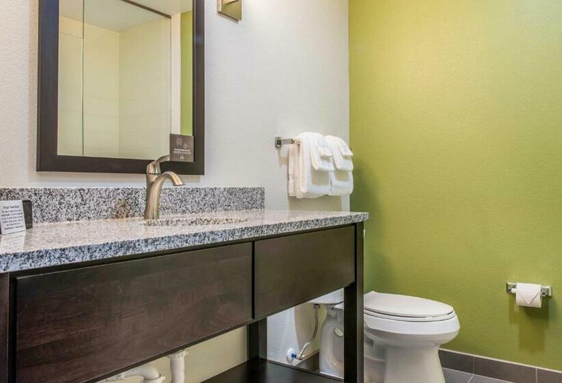 스탠다드 룸 킹사이즈 침대, Sleep Inn Ellenboro Hwy 50