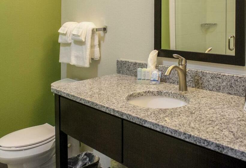 스탠다드 룸, Sleep Inn Ellenboro Hwy 50