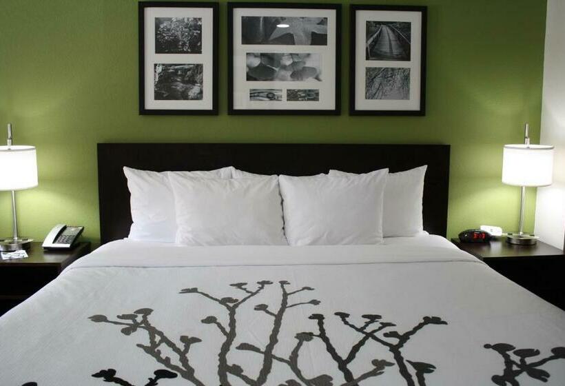 Стандартный Номер Кровать Кинг, Sleep Inn Ellenboro Hwy 50