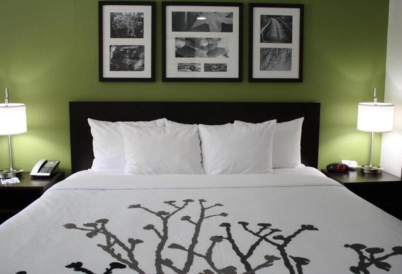 Люкс Кровать Кинг, Sleep Inn Ellenboro Hwy 50