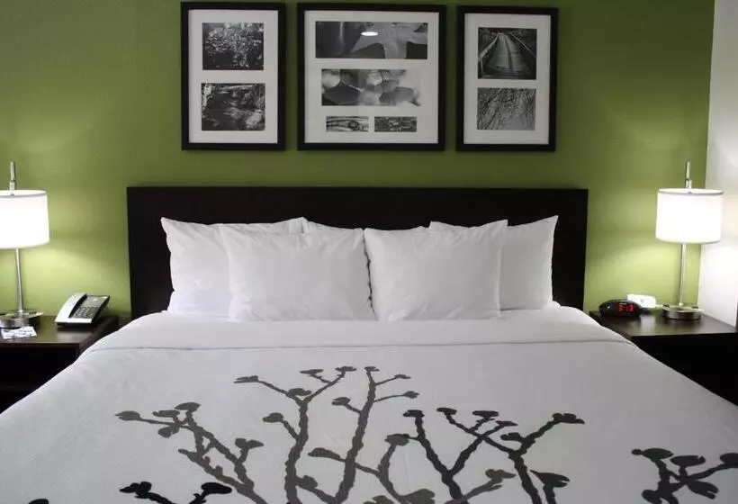 キングサイズベッドのスイートルーム, Sleep Inn Ellenboro Hwy 50