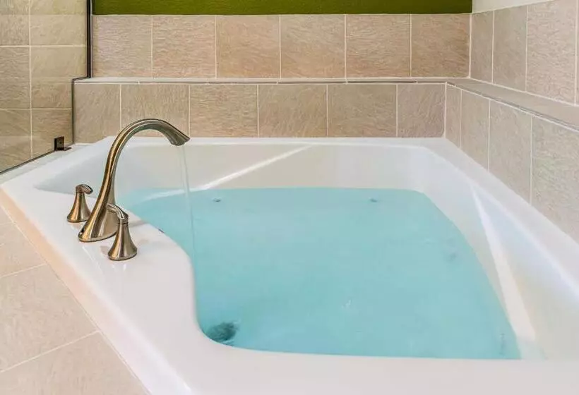 キングサイズベッドのスイートルーム, Sleep Inn Ellenboro Hwy 50