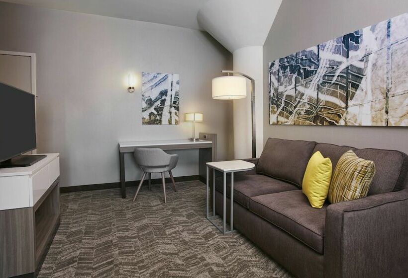 套房, Springhill Suites By Marriott Milwaukee Downtown