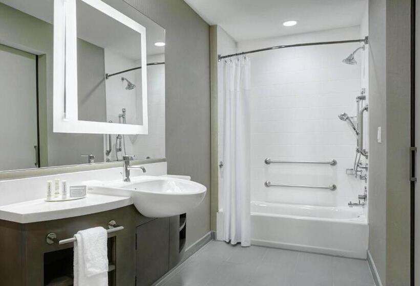 带大床的套房, Springhill Suites By Marriott Milwaukee Downtown