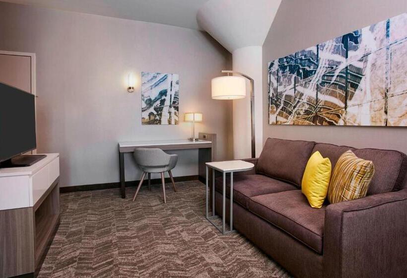 带大床的套房, Springhill Suites By Marriott Milwaukee Downtown