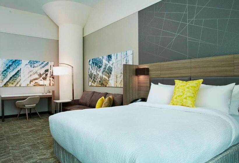 带双人大床的行政管理套房, Springhill Suites By Marriott Milwaukee Downtown