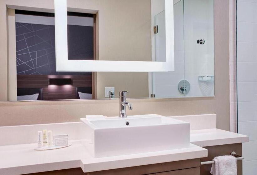 سوییت اجرایی, Springhill Suites By Marriott Milwaukee Downtown