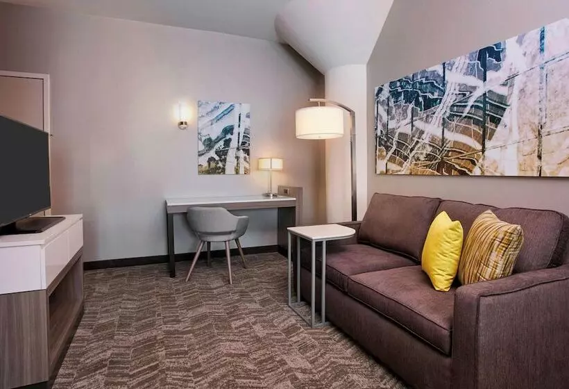 スイート, Springhill Suites By Marriott Milwaukee Downtown