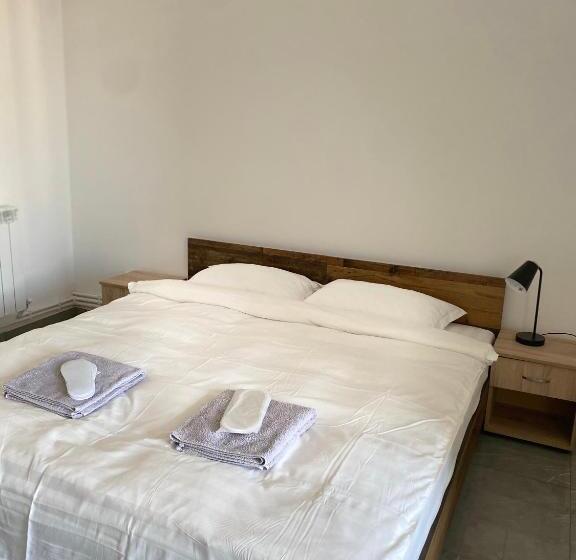 Апартаменты 1 Спальня, Casa Cojocaru