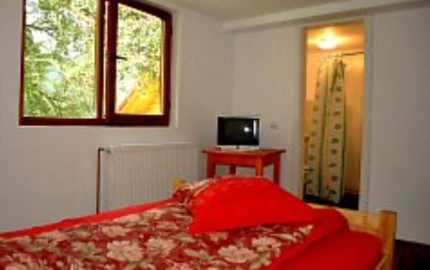 Номер Стандарт, Pensiunea Codru