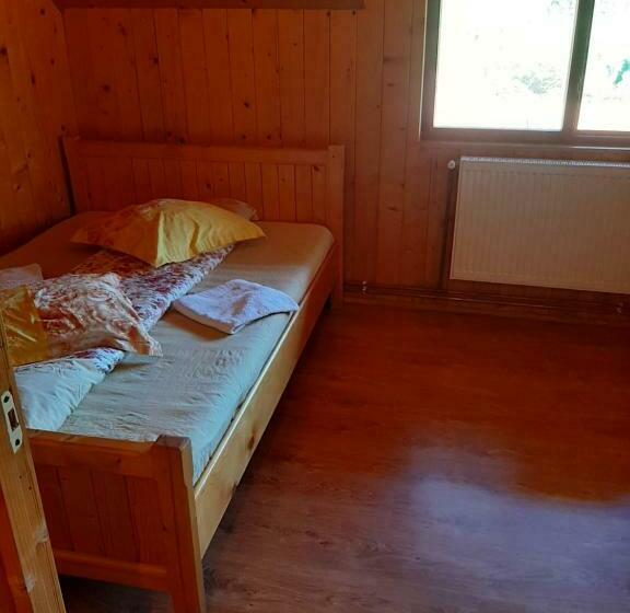 Номер Стандарт, Pensiunea Codru