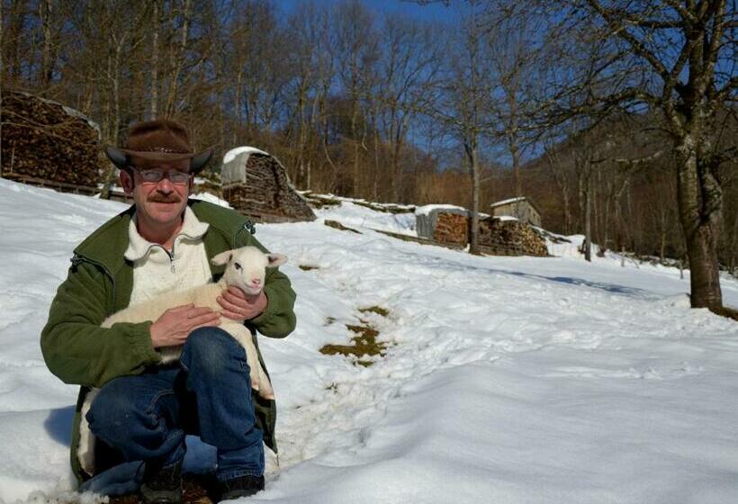 חדר סטנדרט, Escapade Romantique: Cabane Avec Terrasse Panoramique, Poêle à Bois Et éclairage Multicolore   Fr 1