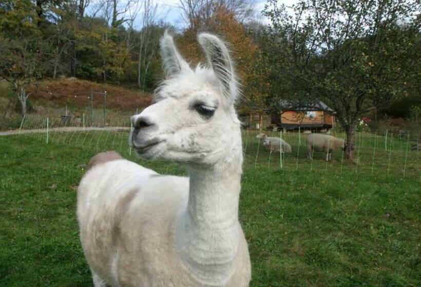 חדר סטנדרט, Escapade Romantique: Cabane Avec Terrasse Panoramique, Poêle à Bois Et éclairage Multicolore   Fr 1