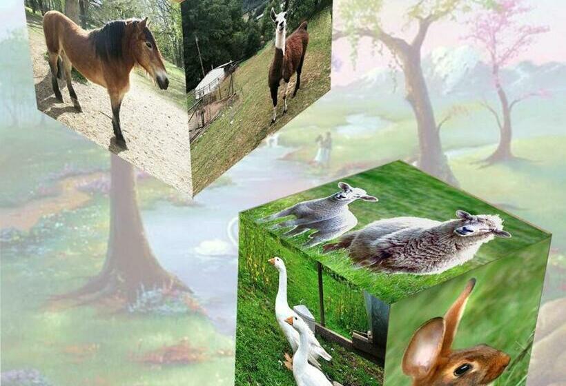 חדר סטנדרט, Escapade Romantique: Cabane Avec Terrasse Panoramique, Poêle à Bois Et éclairage Multicolore   Fr 1