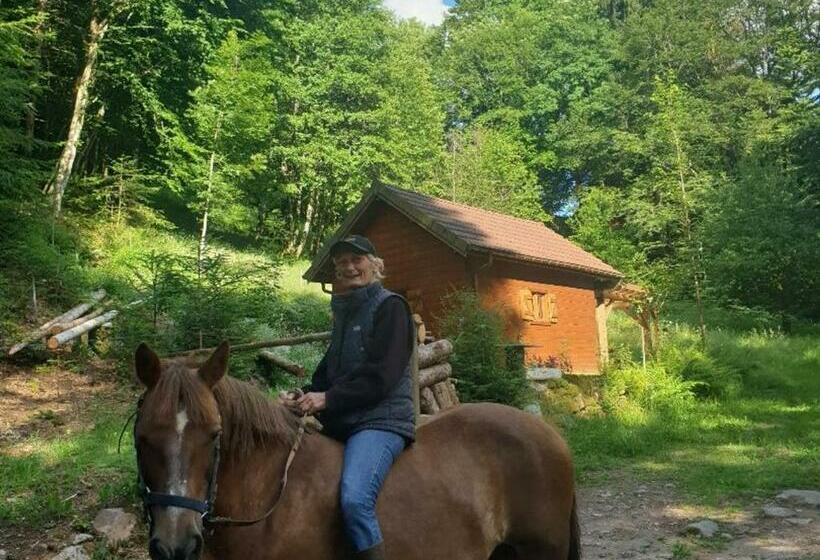 חדר סטנדרט, Escapade Romantique: Cabane Avec Terrasse Panoramique, Poêle à Bois Et éclairage Multicolore   Fr 1