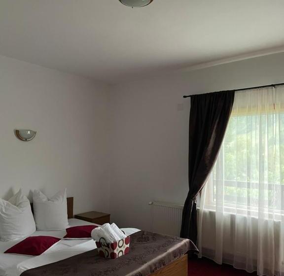 스탠다드 룸, Pensiunea Andora