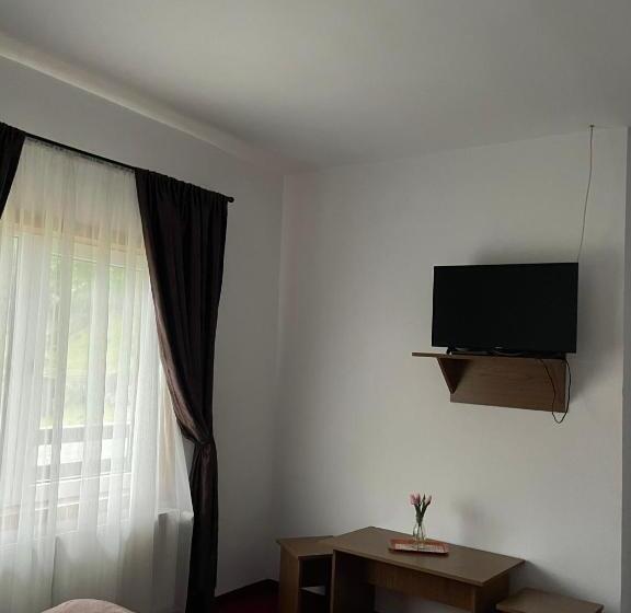 패밀리 룸, Pensiunea Andora