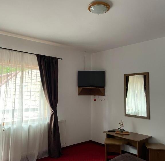 패밀리 룸, Pensiunea Andora