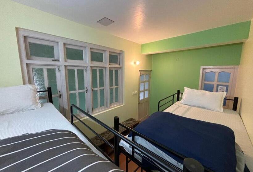 تختخواب در اتاق مشترک, Zu Zu Hostels
