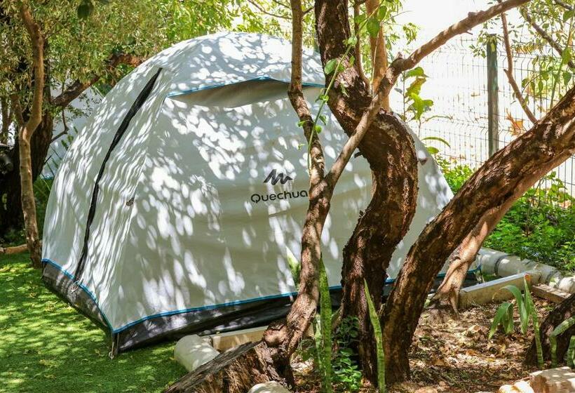 اتاق استاندارد, Harnup Apart