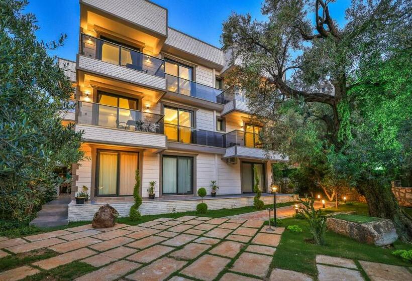 اتاق استاندارد, Harnup Apart