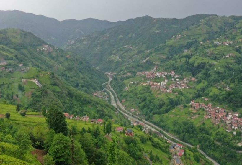 סוויטה משפחתית, Burahan Suite