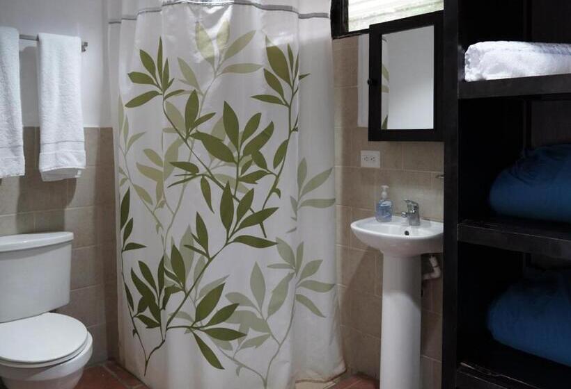 غرفة ديلوكس, Ingigante