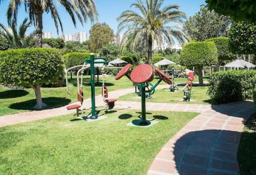 Apartamento 1 Dormitório Vista Mar, Fantastico Estudio En Benalbeach Con Vistas Al Mar