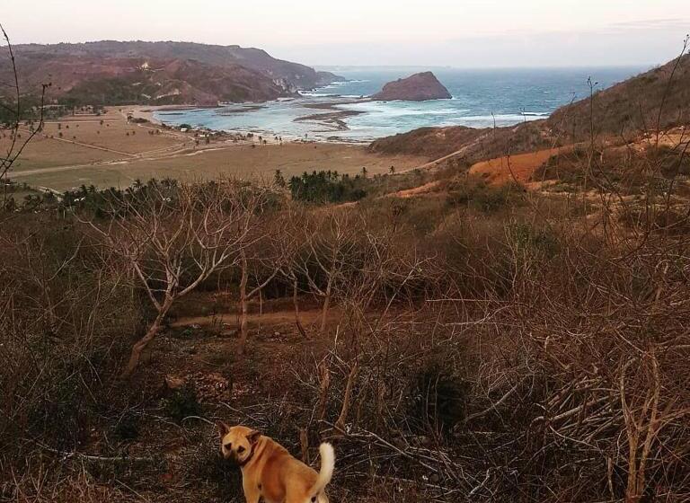 Pokój Standard Łóżko King Size, Blue Monkey Retreat Areguling Lombok