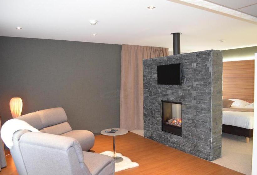 Люкс, Brit Hotel & Spa Saint Brieuc Plérin