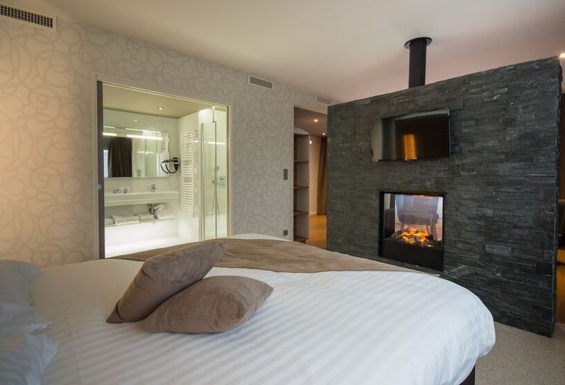 Люкс, Brit Hotel & Spa Saint Brieuc Plérin
