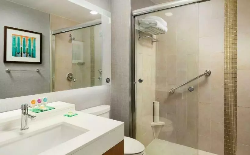 اتاق استاندارد با تخت دو نفره بزرگ, Hyatt Place Lubbock