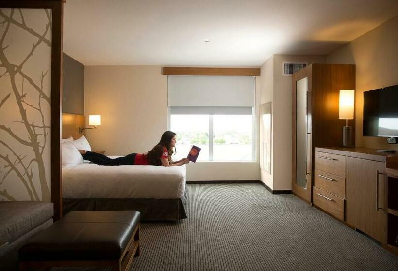 اتاق استاندارد با تخت بزرگ, Hyatt Place Lubbock