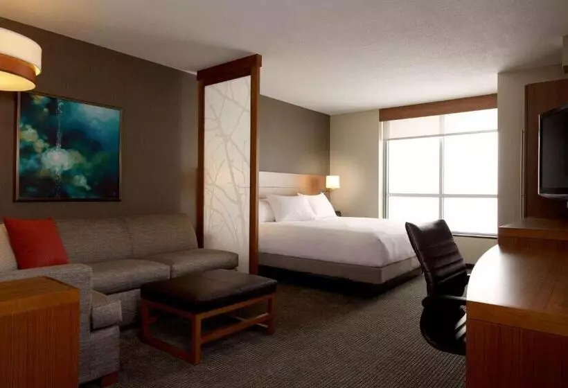 سوئیت با تخت بزرگ, Hyatt Place Lubbock
