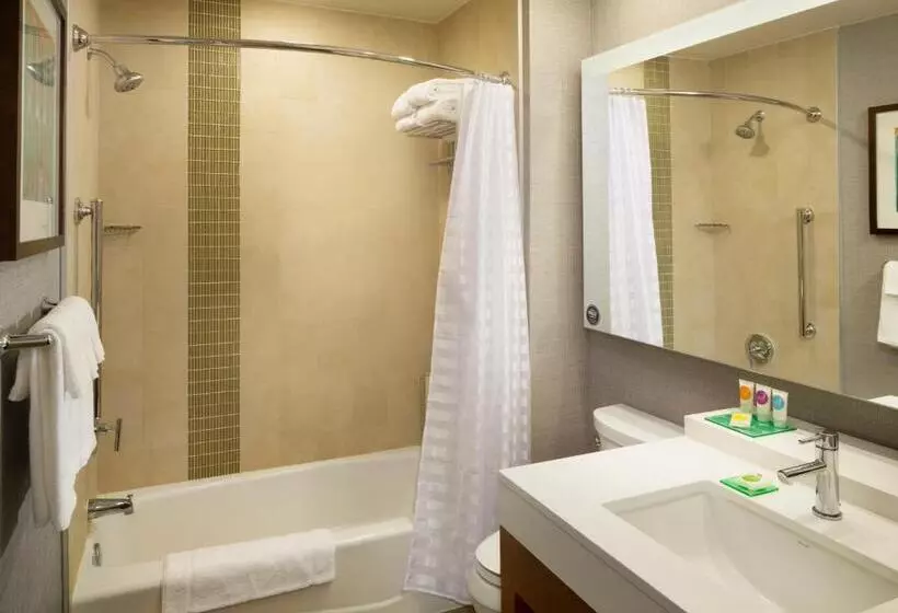 سوئیت با تخت بزرگ, Hyatt Place Lubbock