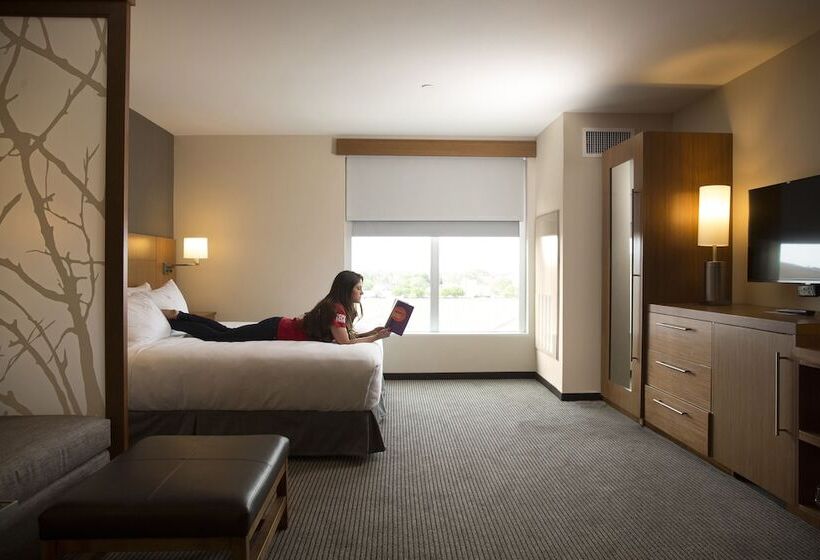 غرفة قياسية سرير كينج, Hyatt Place Lubbock