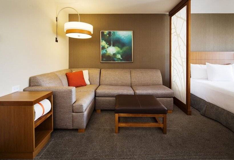 غرفة قياسية سرير كينج, Hyatt Place Lubbock