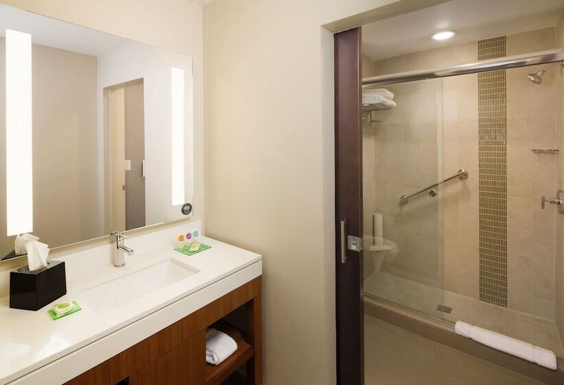 سوئیت با تخت بزرگ, Hyatt Place Lubbock