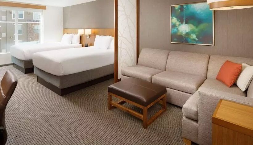 اتاق استاندارد با تخت دو نفره بزرگ, Hyatt Place Lubbock