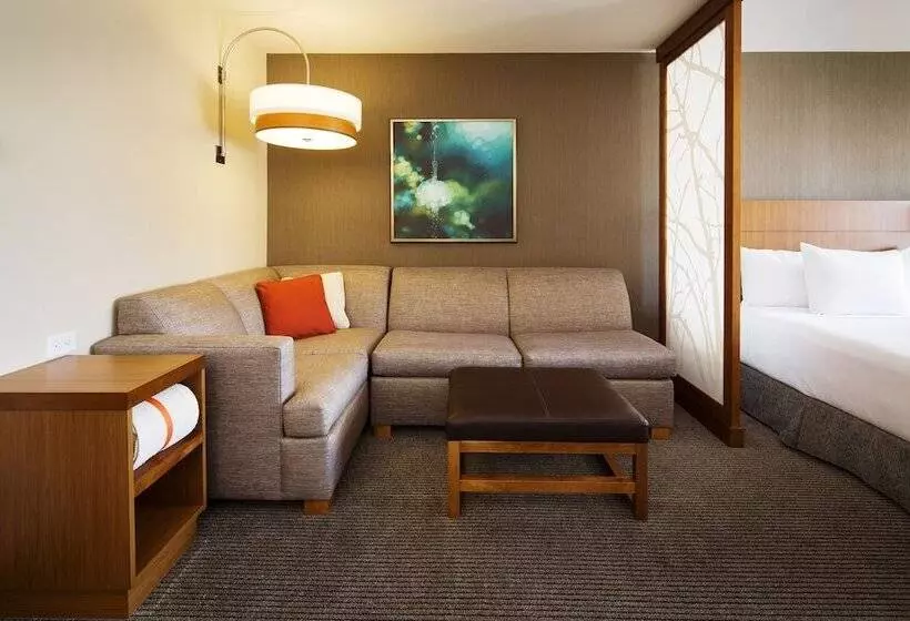 اتاق استاندارد با تخت دو نفره بزرگ, Hyatt Place Lubbock