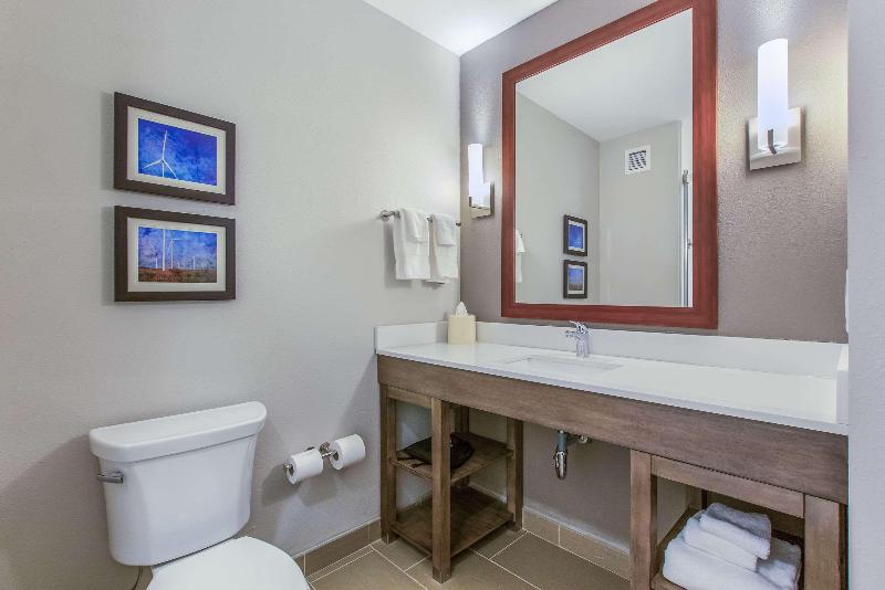 غرفة قياسية سرير كينج, Hyatt Place Lubbock