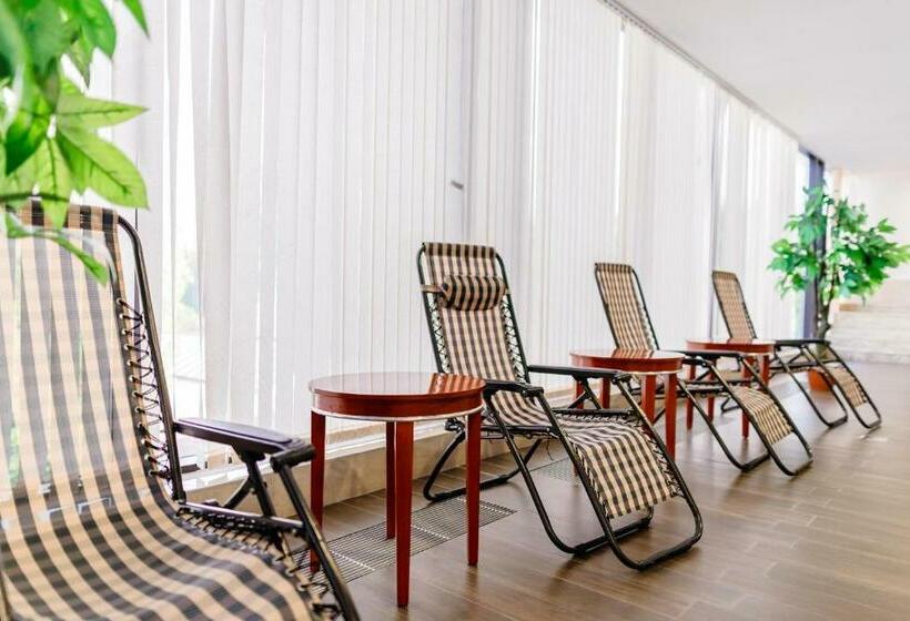 اتاق استاندارد با تخت بزرگ, Shera Inn