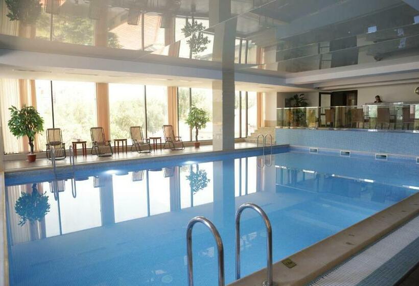 اتاق استاندارد با تخت بزرگ, Shera Inn