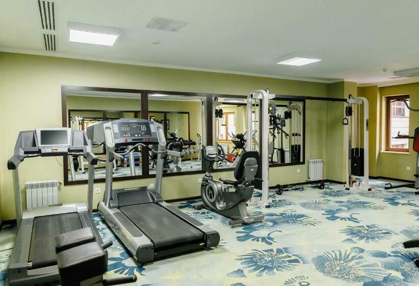 اتاق استاندارد با تخت بزرگ, Shera Inn