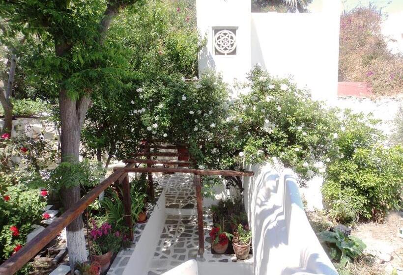 Студия Стандарт, Villa Pinelopi