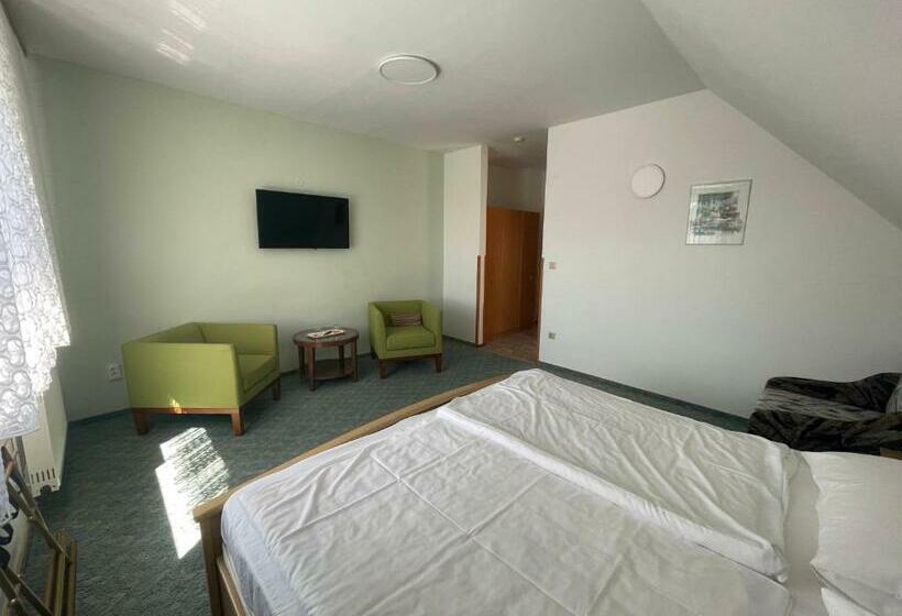 اتاق استاندارد, Haus Elfriede