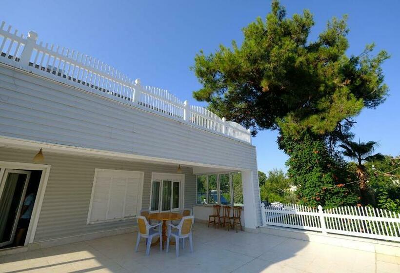 패밀리 룸, Olya Boutique