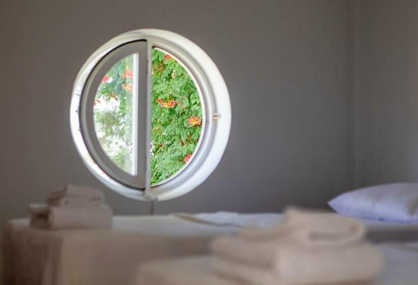 패밀리 룸, Olya Boutique