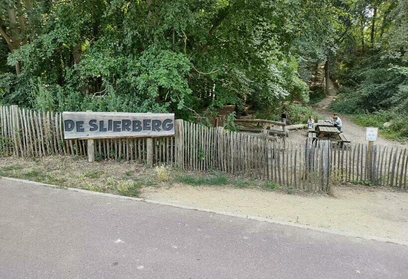 Студио Стандарт с Террасой, Sirenetta